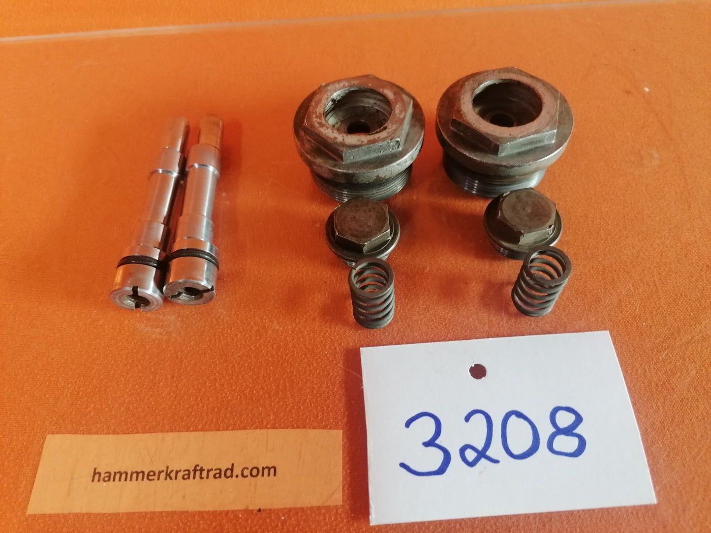 BMW R75 R80 R90 R100 Gabel Verschlussschrauben Exzenderbolzen 32081