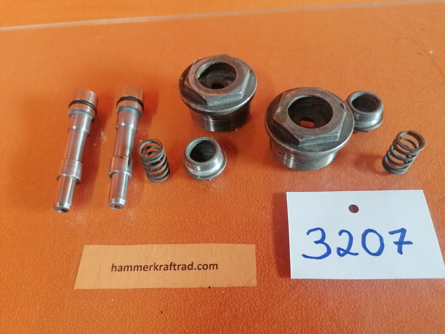 BMW R75 R80 R90 R100 Gabel Verschlussschrauben Exzenderbolzen  32071