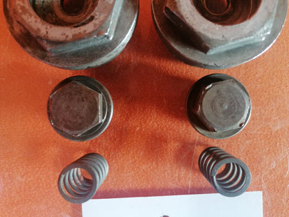 BMW R75 R80 R90 R100 Gabel Verschlussschrauben Exzenderbolzen 32083